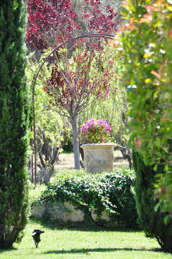 Le Jardin Des Amandiers Châteaurenard 외부 사진